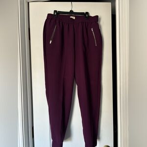 J. Crew Purple Pants